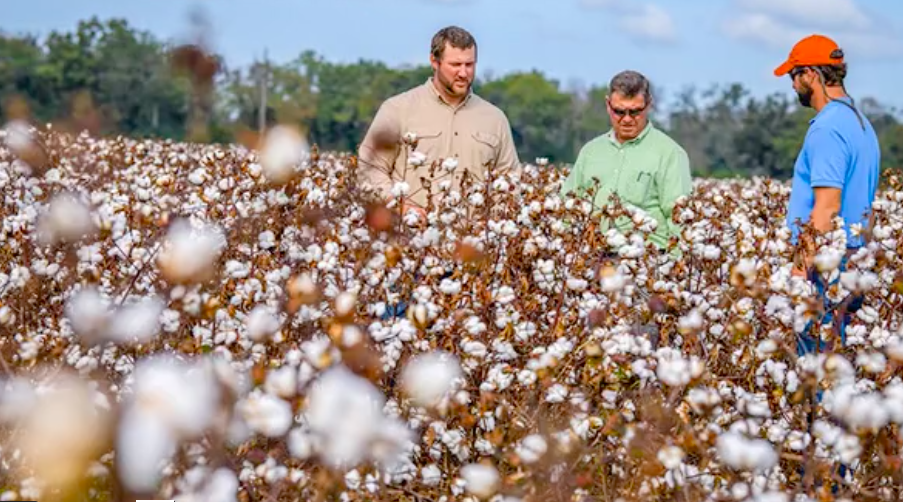 Rooted in Love and Purpose How a South Carolina Couple Helps Others